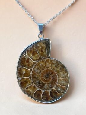 Sterling Silver Ammonite Fossil Pendant Necklace in Brown